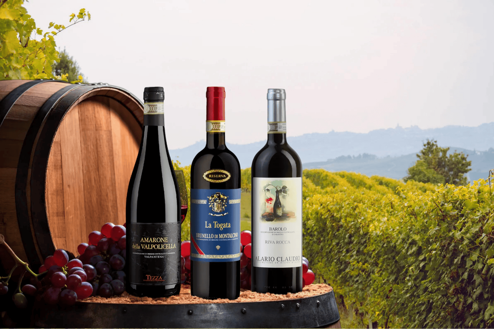 Barolo DOCG 2019